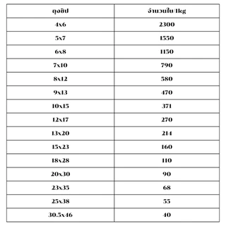 ถุงซิปล็อค เนื้อเกรด A รุ่นหนา น้ำหนัก 1.0 kg *ออกใบกำกับภาษี* X2