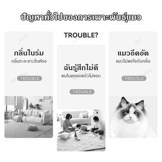 【CAT&DOG】เม็ดดับกลิ่นทรายแมว เม็ดดับกลิ่น ที่ดับกลิ่นอึแมว300g ที่ดับกลิ่นฉี่แมว ที่ระงับกลิ่น เพียงโรยใส่กะบะทรายแมวกลิ