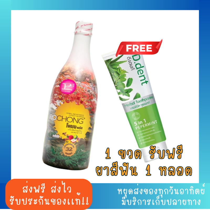 สมุนไพรโพชงพลัส POCHONG+ 1 ขวดใหญ่ เเถมฟรี ยาสีฟัน 1 หลอดสมุนไพร เพื่อสุขภาพของผู้สูงอายุ