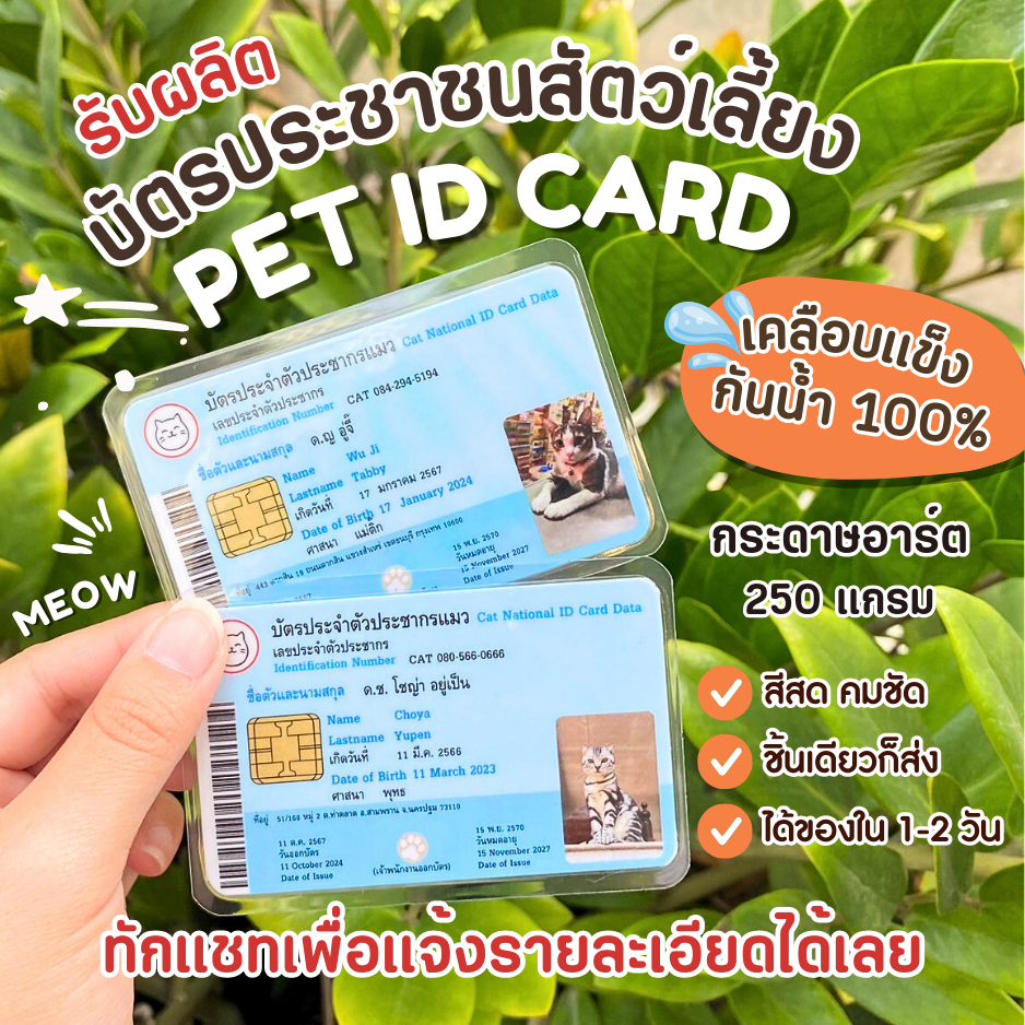 บัตรประชาชนสัตว์เลี้ยง PET ID CARD บัตรน้องหมาน้องแมว บัตรสัตว์เลี้ยง บัตรประชาชน น้องหมา น้องแมว บัตรประจำตัวหมาแมว