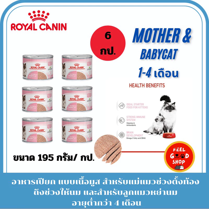 (6กป.) Royal canin Babycat (195g/กป.) แม่แมวช่วงตั้งท้องถึงช่วงให้นม และลูกแมวหย่านม (Exp. 02/09/27)