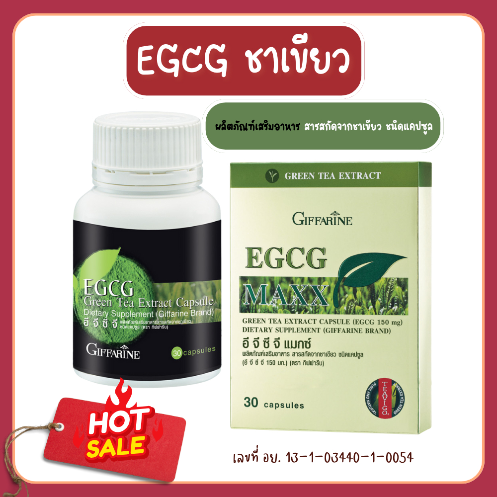 อีจีซีจี EGCG ชาเขียวแคปซูล กิฟฟารีน ชาเขียวสกัด ชาเขียว สารสกัดชาเขียว ของแท้ ช่วยระบบเผาผลาญ ไขมัน
