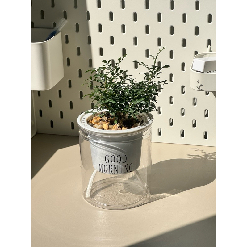 มุมมอง 2