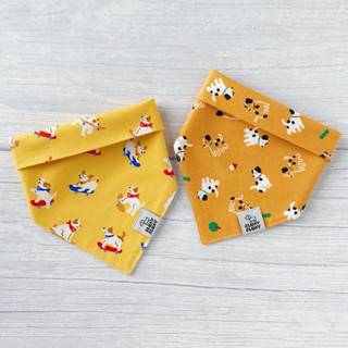 GLUAY GLUAY -ผ้าพันคอหมาแมว ผ้าพันคอสัตว์เลี้ยง - Paws Advan…