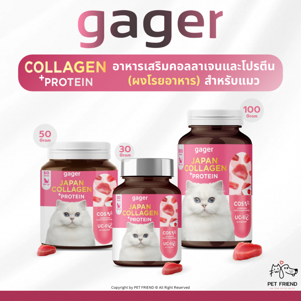 Gager 🐱 (กาเจอร์) อาหารเสริมแมวอ้วน ผงคอลลาเจนแมว ผงคอลลาเจนแมวอ้วน ผงโปรตีนเสริมสร้างกล้ามเนื้อทำให