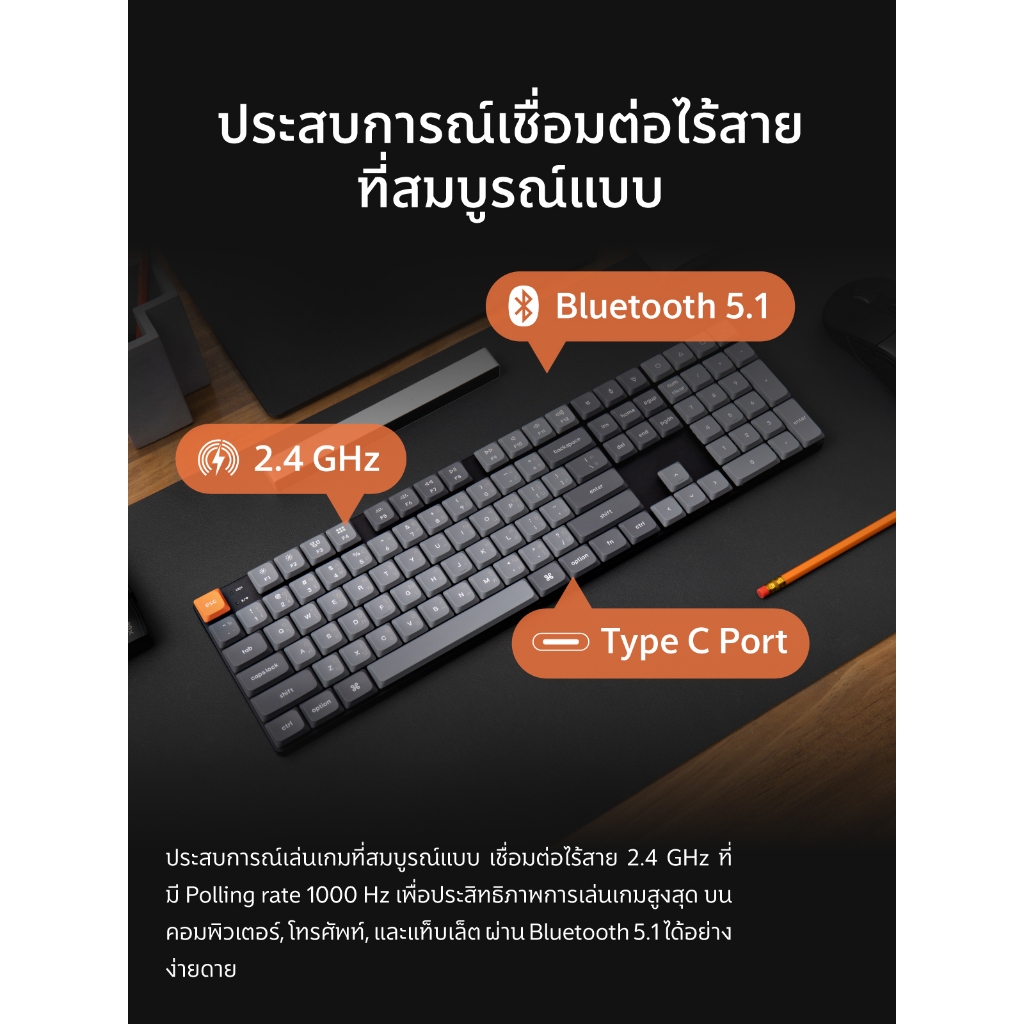 รูปภาพ 3