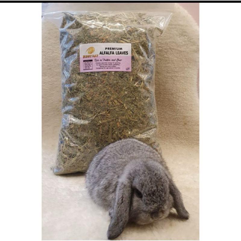 PREMIUM ALFALFA LEAVES ขนาด 1 กิโล