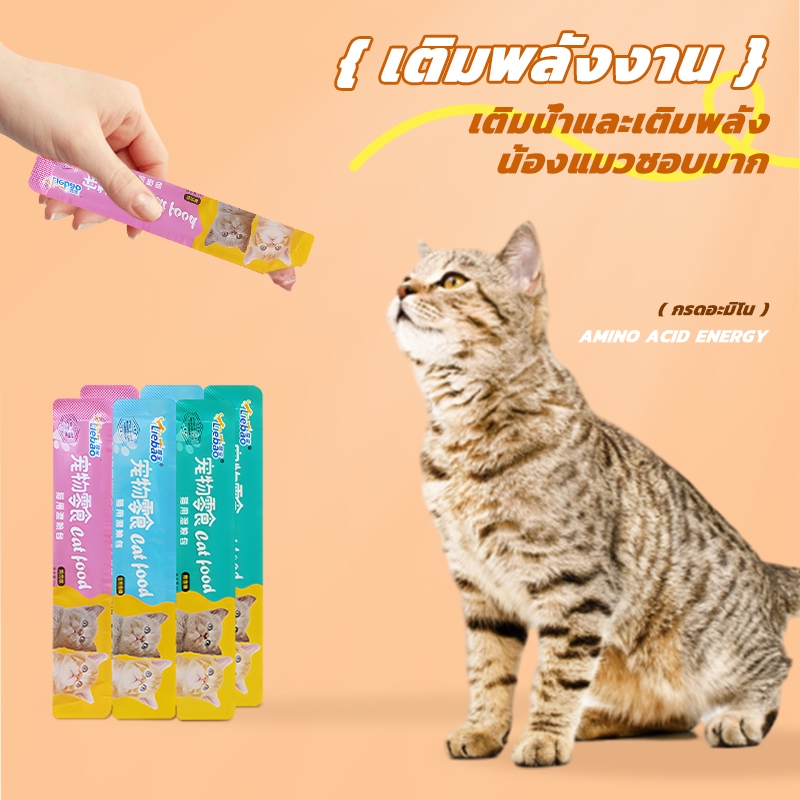 รูปภาพ 9