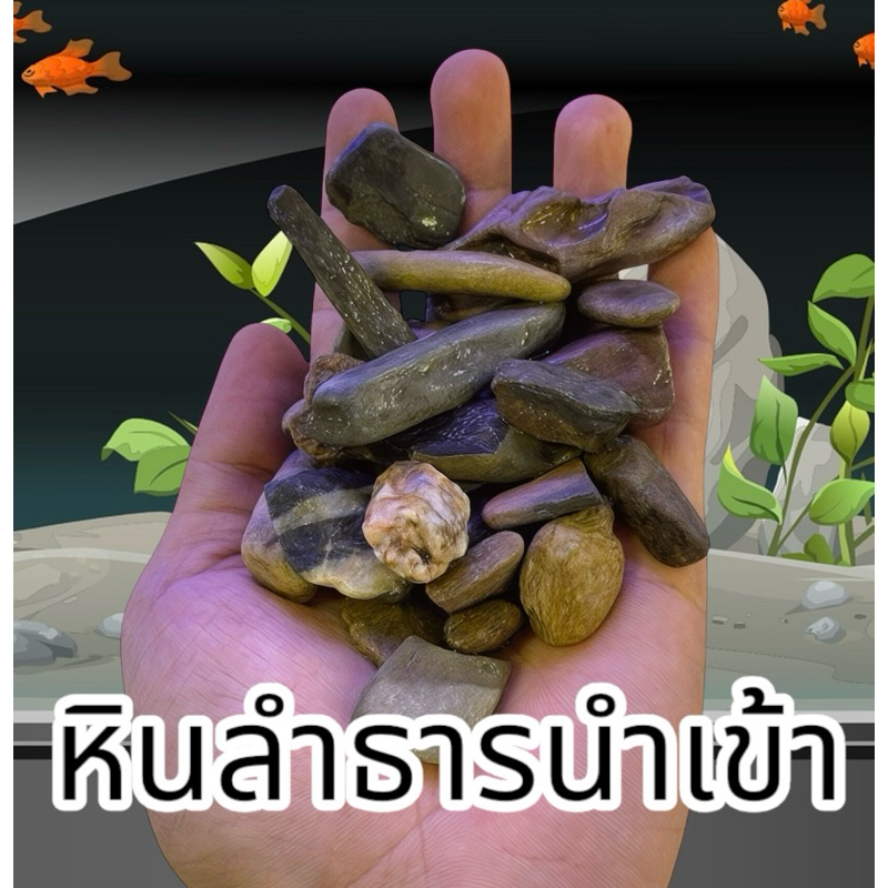 หินลำธารนำเข้าตกแต่งตู้ไม้น้ำและตู้ปลาให้สวยงาม