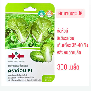 ศรแดง ผักกาดขาวปลี ดราก้อน (300 เมล็ด)