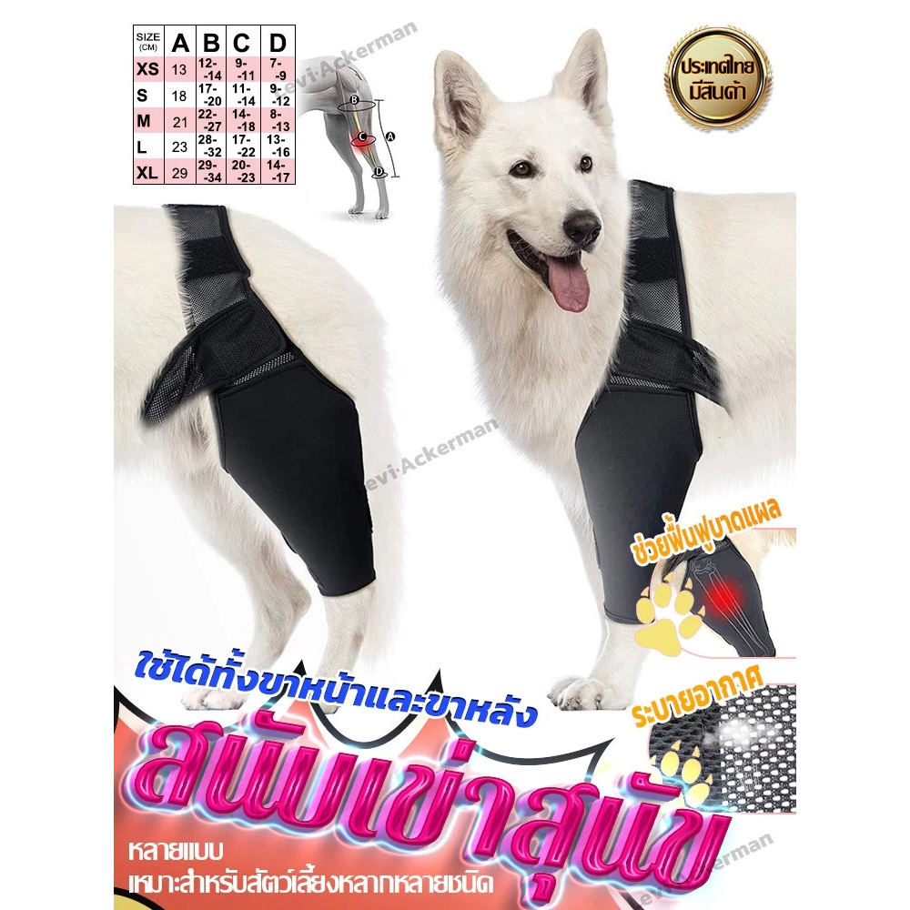 ส่งจากไทย!ผ้ารัดขาสุนัข เฝือกอ่อน สุนัข เฝือกอ่อนสุนัข PET Leg Support หลังผ่าตัด สำหรับข้อเท้าหลัง สำหรับข้อเท้าหน้า