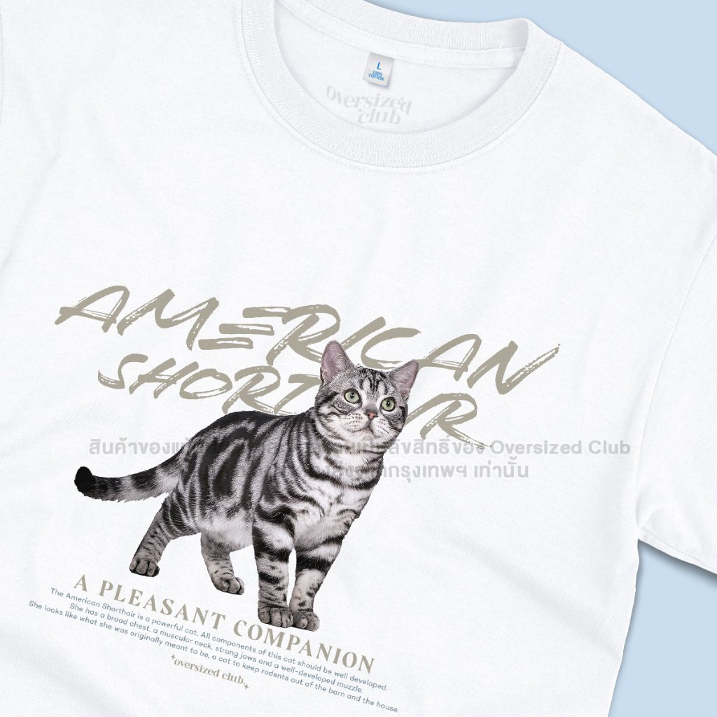 เสื้อยืดสกรีนลายแมว American Shorthair อเมริกันช็อตแฮร์ (Stand) [Classic Cotton 100% by Oversized Club]