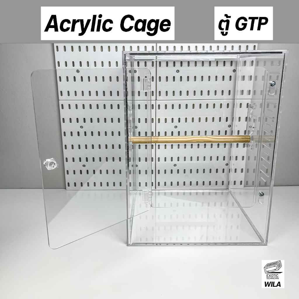 กรงอะคริลิค GTP งูต้นไม้ งูหลามต้นไม้ ตู้งู กรงงู Green Tree Python By Exotic Technician