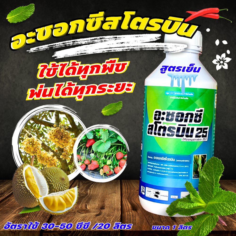 อะซอกซีสโตบิน ขนาด 1 ลิตร เอสพี โรคแอนแทรคโนส โรคช่อดอกดำ โรคใบจุดสีม่วง โรคใบติดทุเรียน โรคใบจุดดำ และโรคกาบ