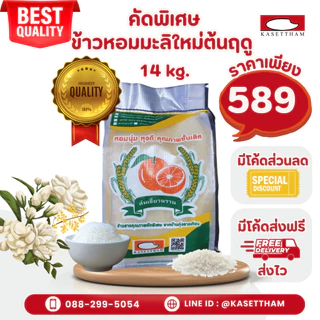 14 กก. ข้าวหอมมะลิใหม่ต้นฤดูปี69คัดพิเศษ100%เม็ดสวยไม่มีหัก ข้าวสารตราส้มเขียวหวาน ราคาโรงสีส่งฟรี สั่ง 2 ถุงคุ้มค่าส่งN