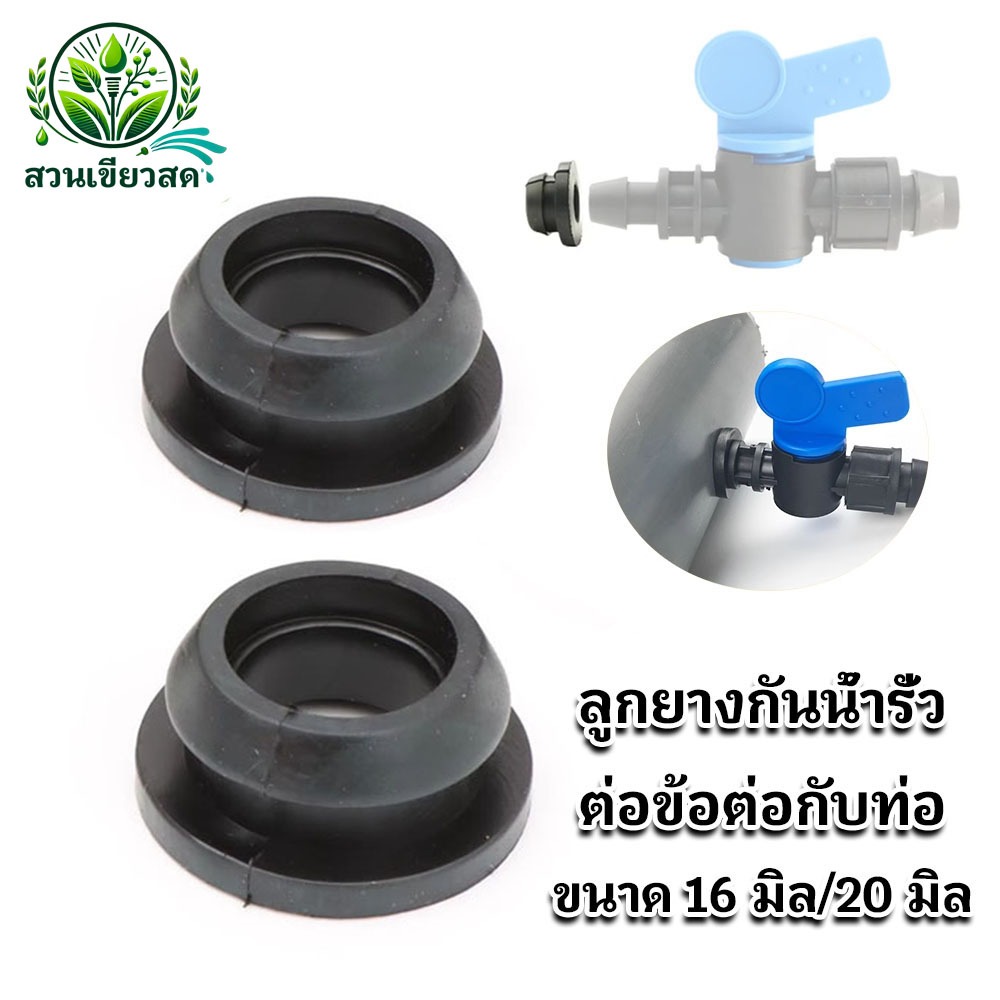 10 ชิ้น ลูกยางกันน้ำรั่ว ยางเปอร์เมท ลูกยาง ต่อข้อต่อกับท่อ PVC ท่อ PE ขนาด 16 มิล 20 มิล