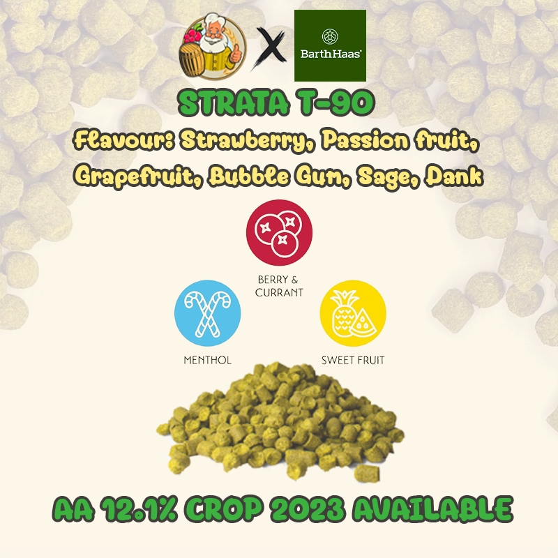 Strata Hops (US) PELLET HOPS (T90) Crop 2023 Beer Hops Hops เบียร์ฮอปส์ทำเบียร์ฮอปส์ Strata Hops ฮอป