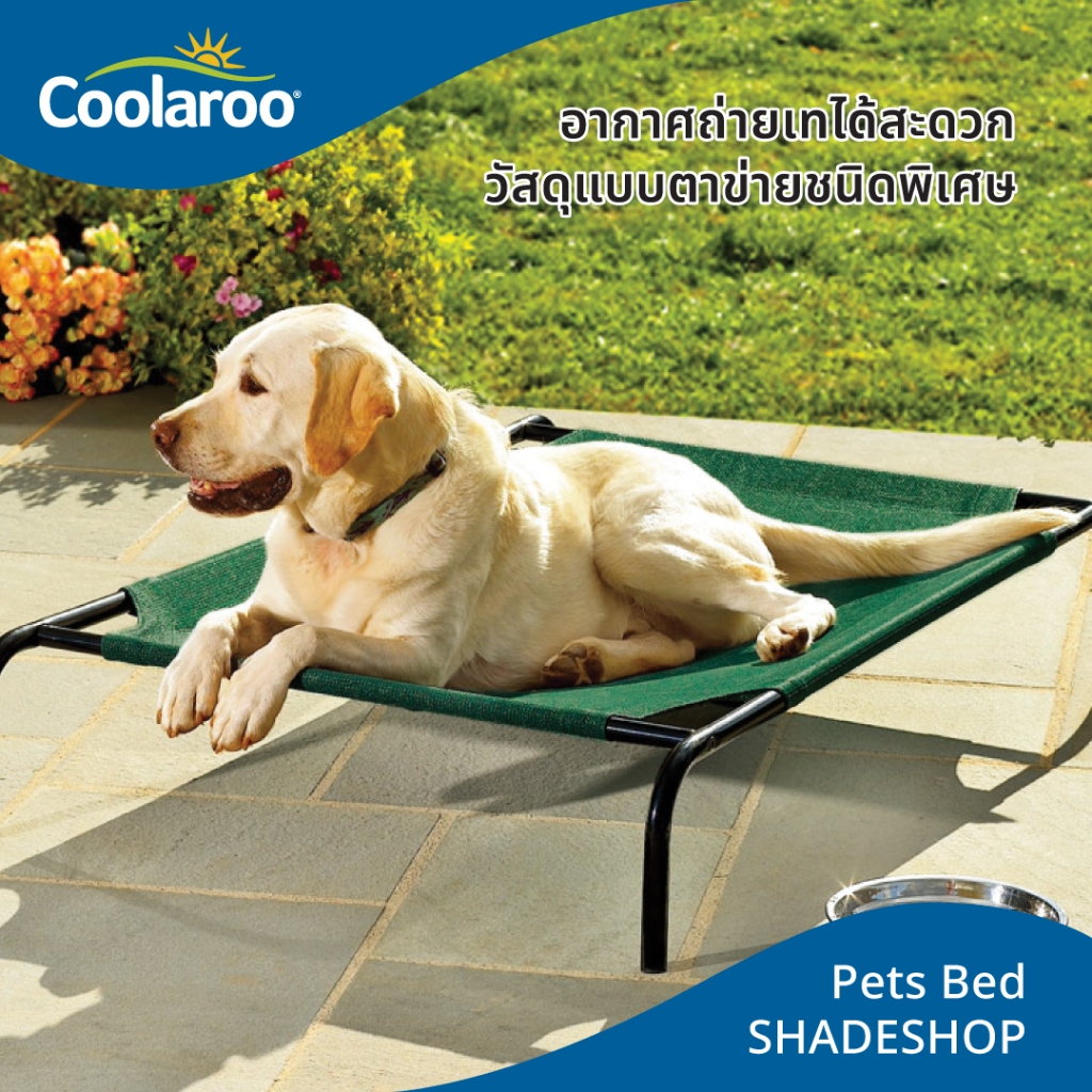 เตียงนอนที่นอนสัตว์เลี้ยง Coolaroo Pet Bed เสริมสุขภาพ ป้องกันแผลกดทับ สินค้าแบรนด์ยอดนิยมจากประเทศอ