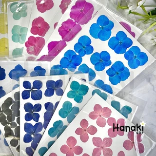 【พร้อมส่ง】ดอกไฮเดรนเยียสีพาสเทลทับแห้ง ดอกไม้จริงทับแห้ง ดอกไม้ทับแห้ง Pressed Flowers💐