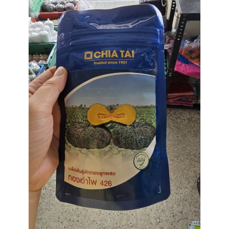 เมล็ดฟักทอง ทองอำไพ 426  ขนาด 100 กรัม ตรา เจียไต๋ ฟักทอง ทองอำไพ