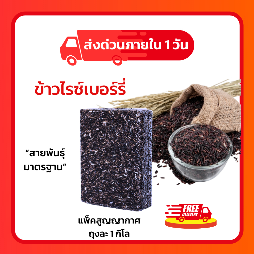 ข้าวไรซ์เบอร์รี่🌾 เกรดมาตรฐาน ถูกสุดๆ ซีลสูญญากาศ 1 กิโล