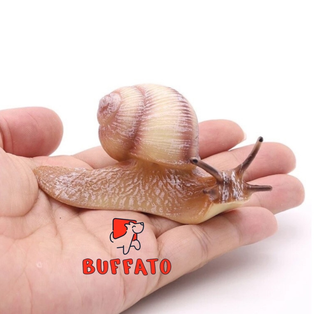 Buffato โมเดลสัตว์ Snail หอยทาก ครีม ขนาด 9.10 CM (จากหาดใหญ่)