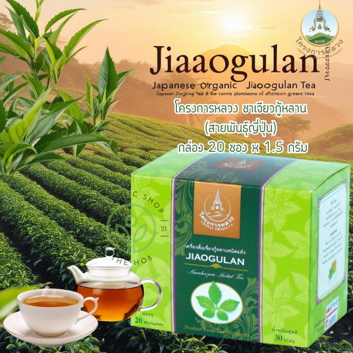 โครการหลวง ชา ชาเจียวกู่หลาน สายพันธุ์ญี่ปุ่น ทำจากยอดชาแท้ แบบกล่องบรรจุ 20 ซอง
