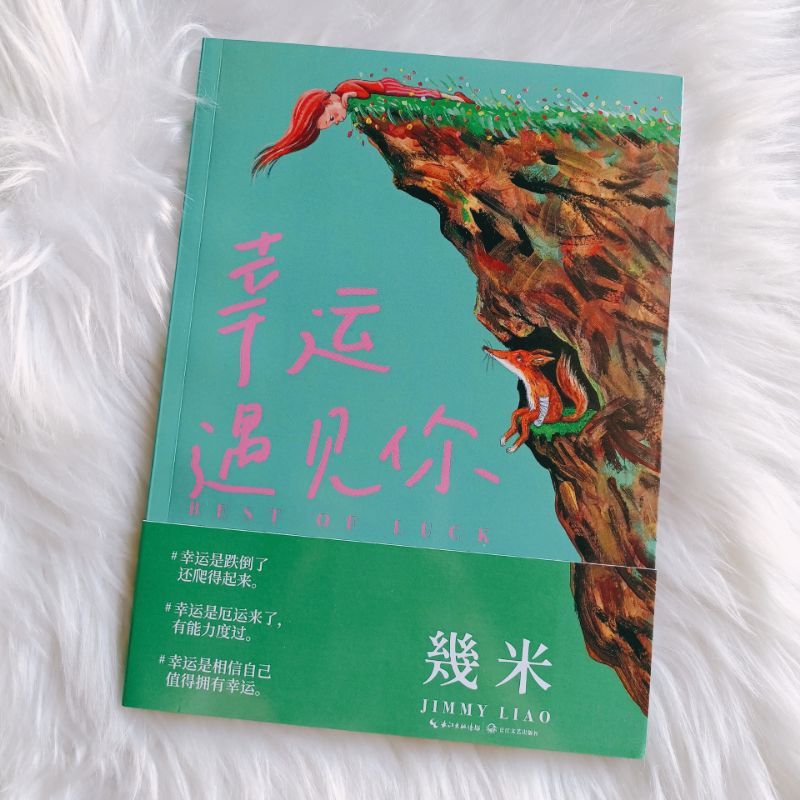 (พร้อมส่ง) 幸运遇见你 (โชคดีที่เจอกัน) หนังสือภาพของ Jimmy Liao