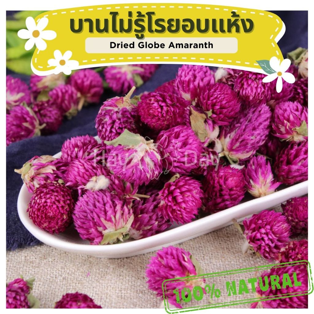 💥แจ้งย้ายร้าน ทักแชท💥 ขนมกระต่าย || ดอกบานไม่รู้โรยอบแห้ง || ดอกไม้สมุนไพร ปลอดสารพิษ ชาดอกไม้ สำหรับสัตว์ฟันแทะทุกชนิด