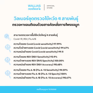 【ตรวจ RSV+ไข้หวัดใหญ่】ชุดตรวจหาไวรัส 4in1 ชุดตรวจRSV COVID-19 & RSV & FLU A / B Antigen Test Kit ยี่ห้อ Wilbur
