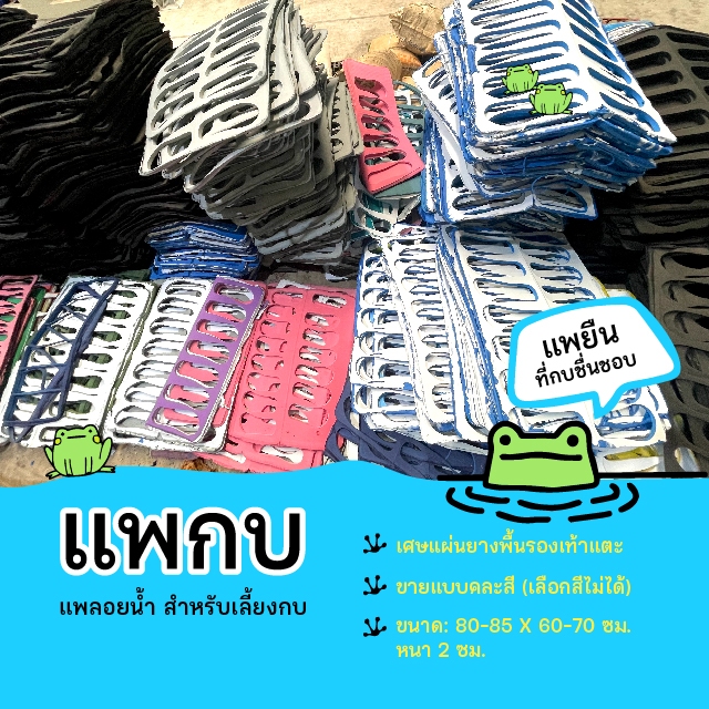 แพกบ แพยีนกบ 🐸🐸 ขายส่ง 4 แผ่นขึ้นไป เหลือแผ่นละ 55 บาท – แพยืนกบ แผ่นยางพื้นรองเท้า(มือหนึ่ง) 🐸🐸
