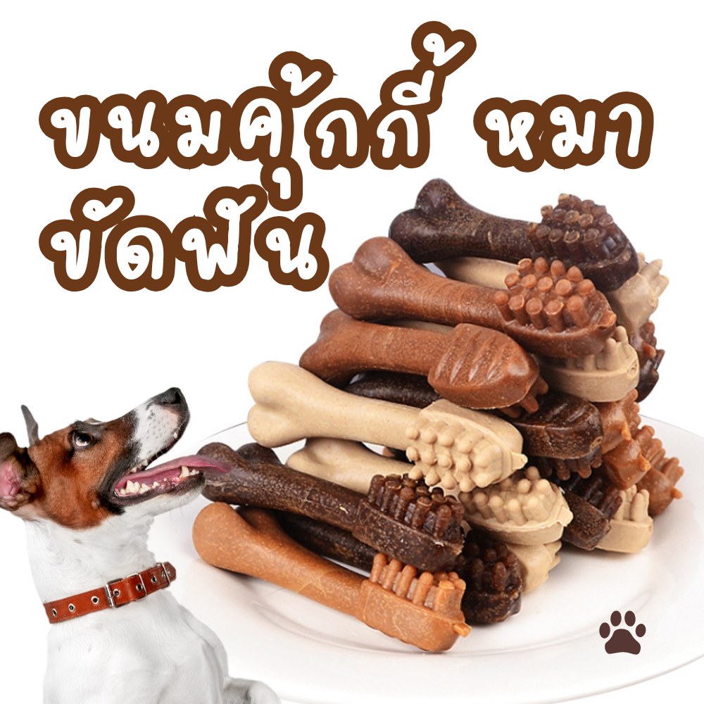 ขนมหมา คุ้กกี้หมา บิสกิต มันชี่ ขนมขัดฟัน ขนมหมา ขนมขัดฟันหมา ขนมขัดฟัน รสเนื้อ นม ตับ หมาเล็ก หมาใหญ่ กินแล้วเฝ้าบ้านดี