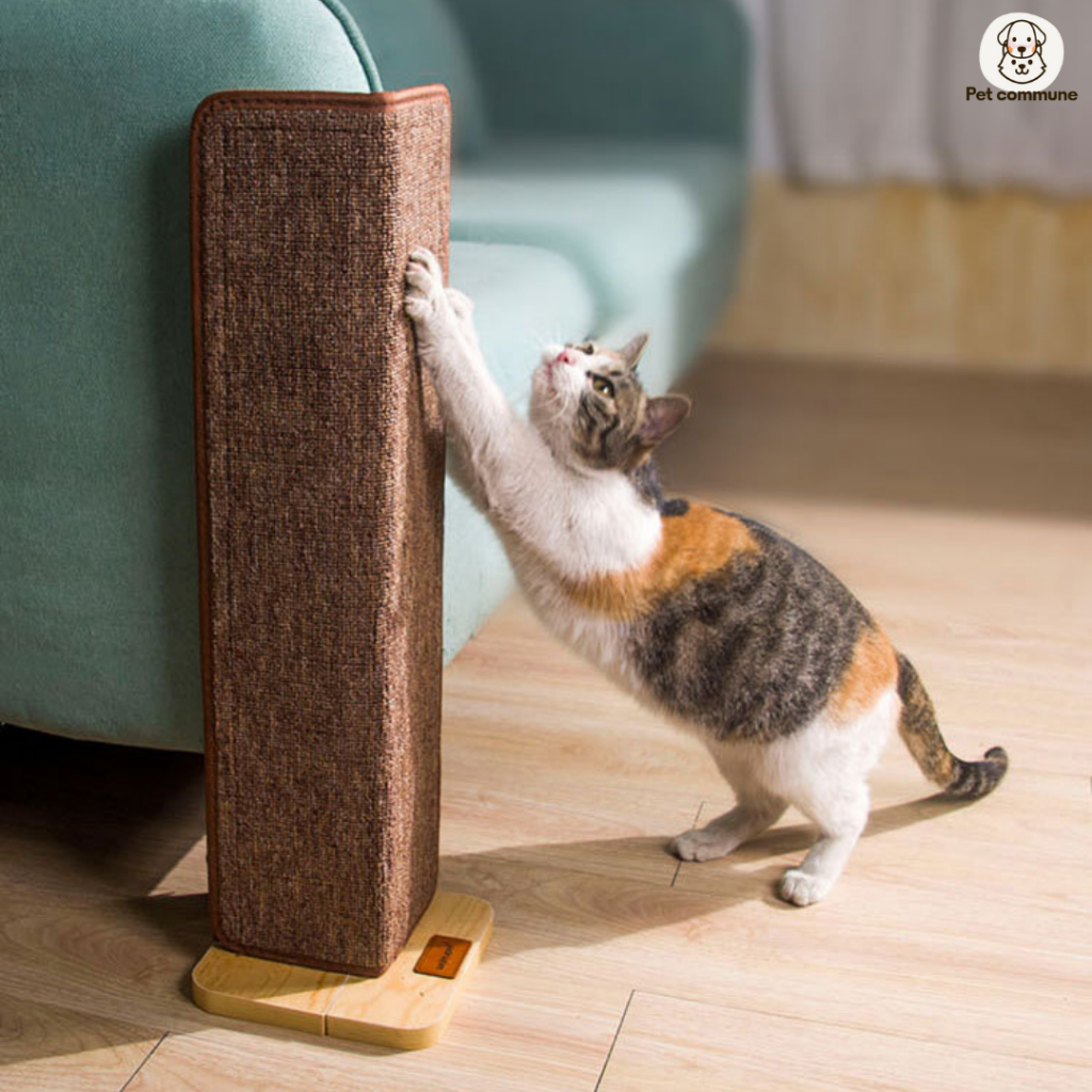 ที่ลับเล็บเข้ามุมโซฟา ที่ฝนเล็บแมวเข้ามุม ของเล่นแมว **พร้อมส่ง** Cat Scratch Board Scratcher corner