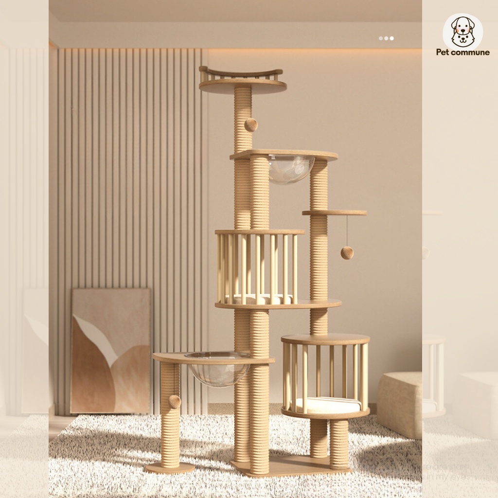 คอนโดแมวแบบครบวงจร คอนโดแมวไม้พร้อมหลุมนอน Cat climbing frame