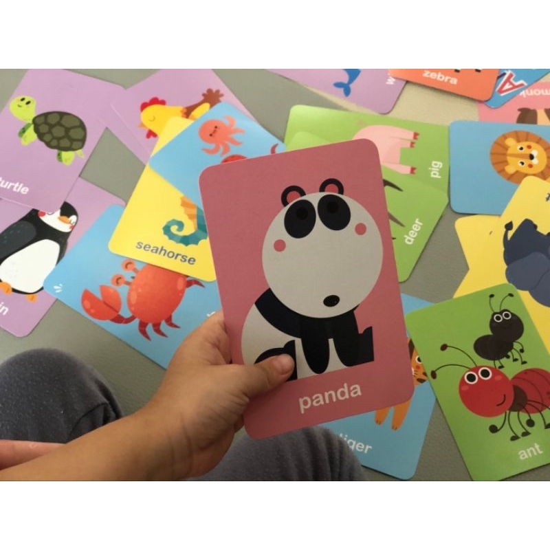 flashcard บัตรภาพคำศัพท์ หมวดสัตว์