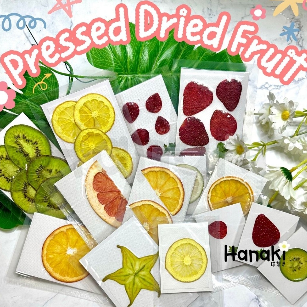 【พร้อมส่ง】🍊🥝🍓ผลไม้ทับแห้ง ผลไม้ทับสำหรับงาน DIY