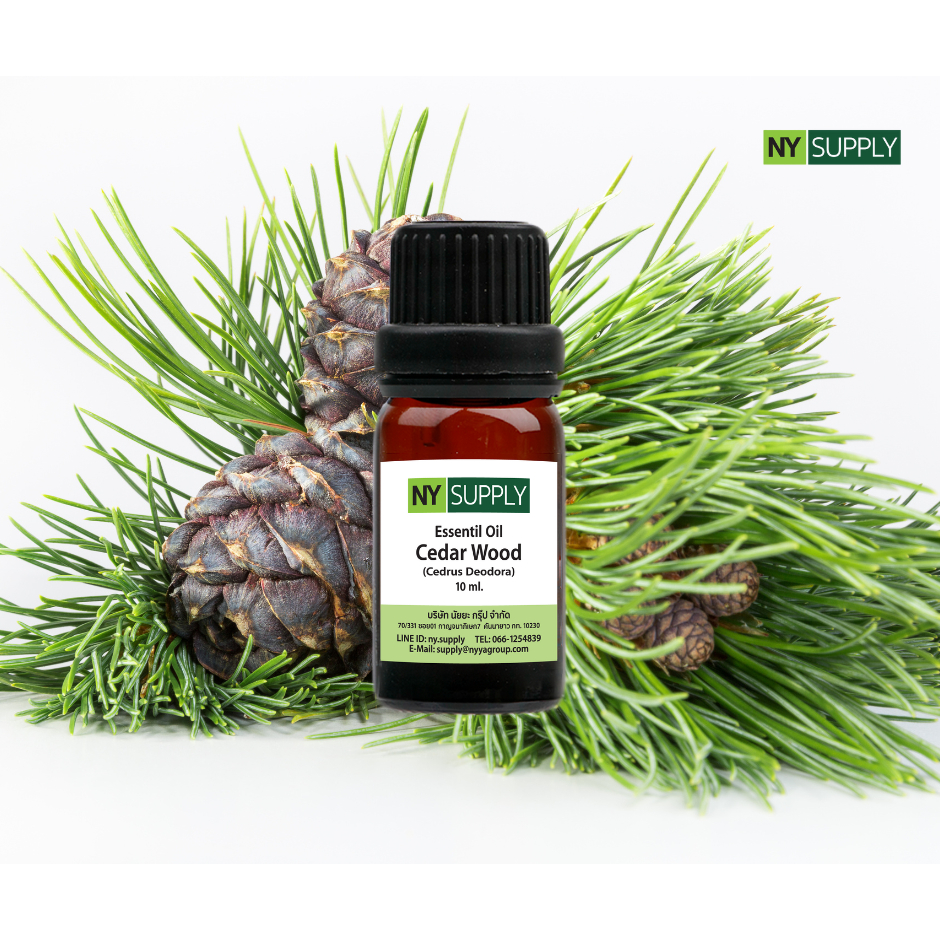 NY Supply น้ำมันหอมระเหยซีดาร์วูด (Cedar Wood Essential Oil)