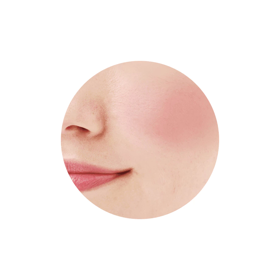 CEZANNE Natural Cheek เซซาน เนเชอรัล ชีค เอ็น รูปที่ 2