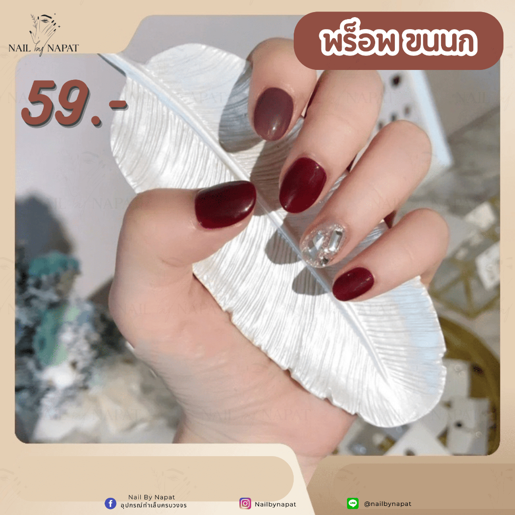 🔥พร็อพถ่ายรูป [พร็อพ ขนนก] ขนาด 4.5*11.30 ถ่ายรูปมือ/เท้า พร็อพถ่ายรูปเล็บ🔥
