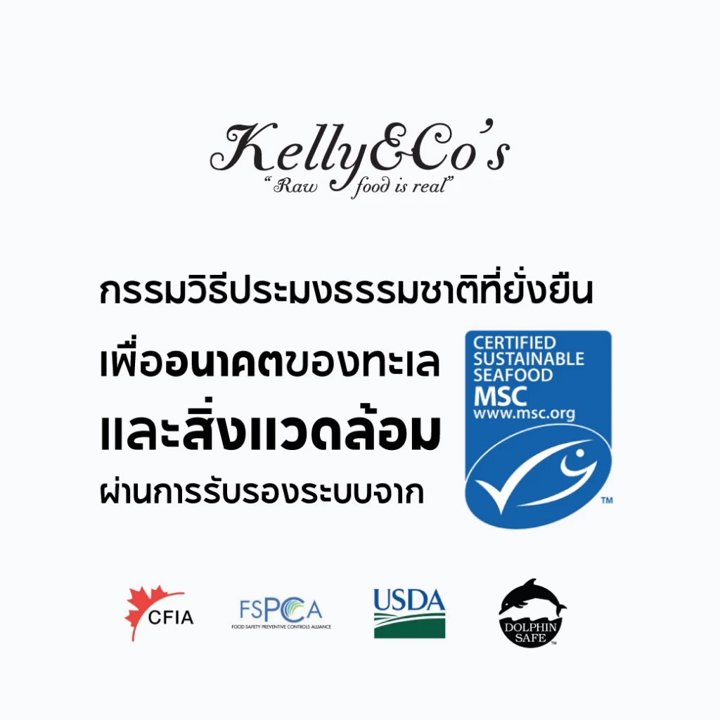 Kelly & Co's ผงโปรตีนโรยอาหารสุนัข 50g สูตรเข้มข้น thumbnail 9
