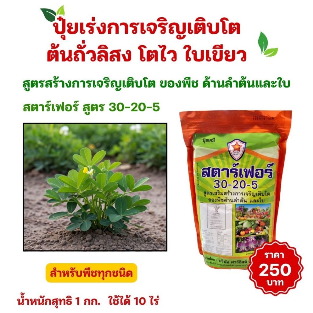 ปุ๋ยถั่วลิสง สูตรสร้างการเจริญเติบโตของพืช โตไว ใบเขียว สตาร์เฟอร์ 30-20-5 สำหรับพืชทุกชนิด ขนาด1กก.