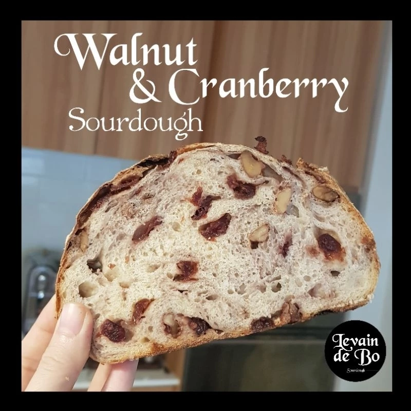 Walnut & Cranberry Sourdough (ขนมปังซาวโดว์วอลนัทแครนเบอรี่)