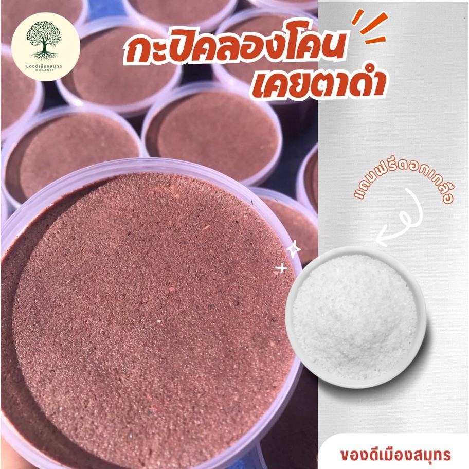 กะปิเคยตาดำ คลองโคนแท้100% อร่อยกว่ากะปิกุ้งธรรมดา เนื้อเนียนละเอียด รสชาติกลมกล่อม แถมฟรีดอกเกลือ