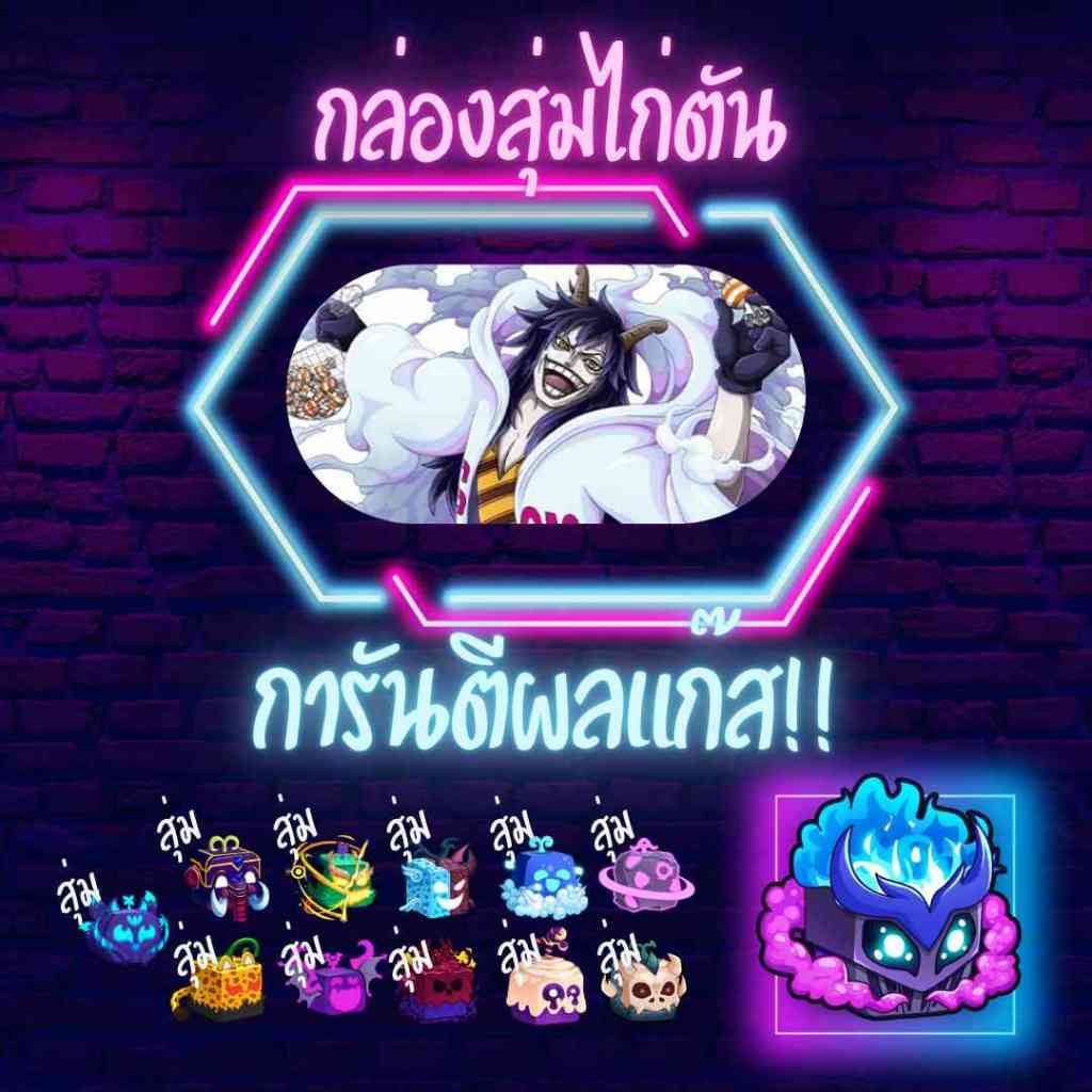 🔥ไก่ตันผลแก๊ส💨 การันตีผลแก๊สในกล่อง ( Roblox Blox Fruit )