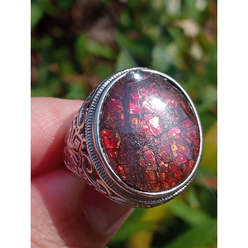 แหวนแอมโมไลด์เหลืยบสีแดงสวย (ammolite)