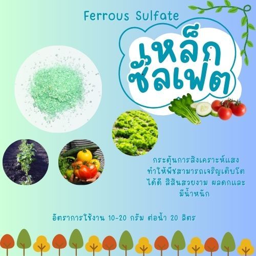 เฟอรัส ซัลเฟส Ferrous sulfate เหล็กซัลเฟต จุลธาตุเหล็ก ขนาด 1 Kg (แบ่งขาย)