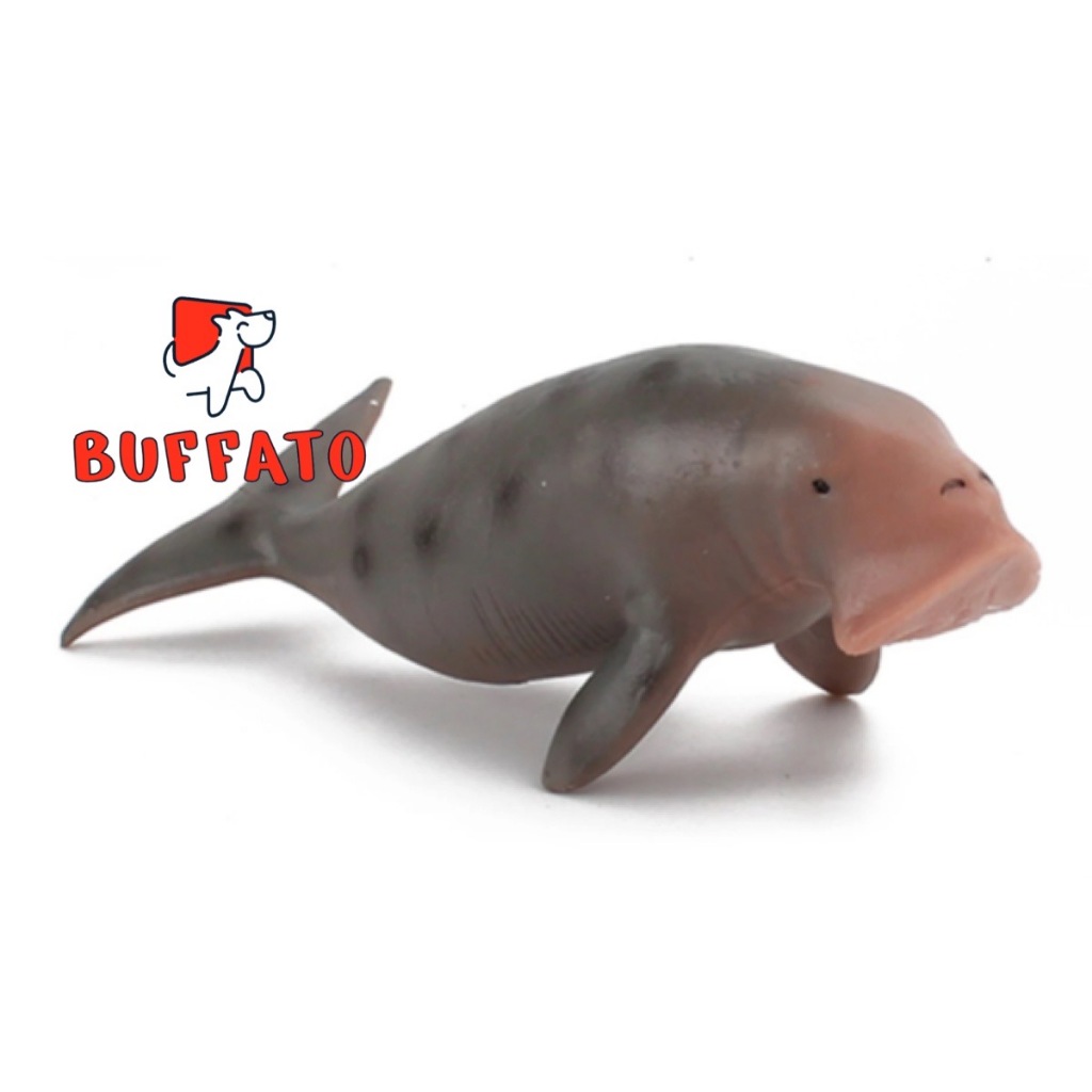 Buffato โมเดลสัตว์ Dugong, Manatee พะยูน มานาที เทาจุด ขนาด 14.20 CM (จากหาดใหญ่)