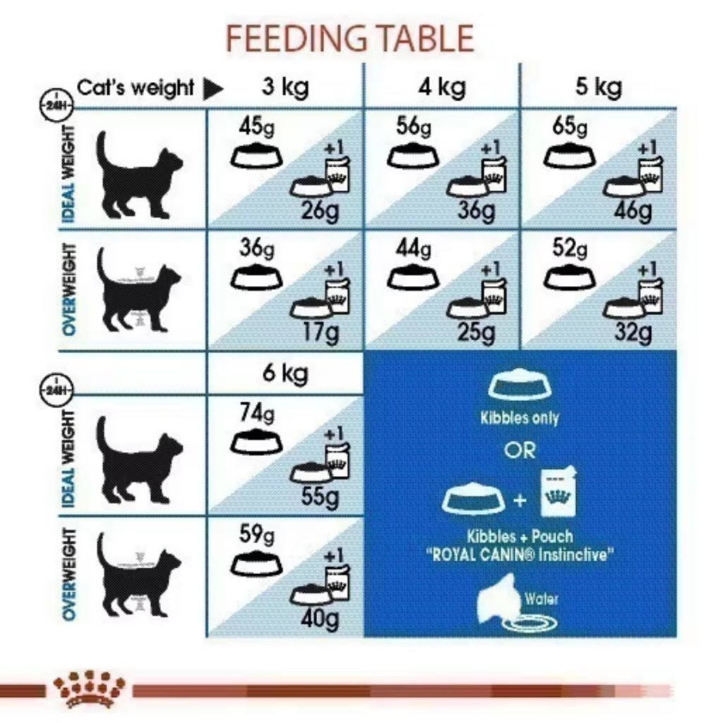Royal canin Indoor อาหารเม็ดแมวโตเลี้ยงในบ้าน 400กรัม 2 รูปที่ 2
