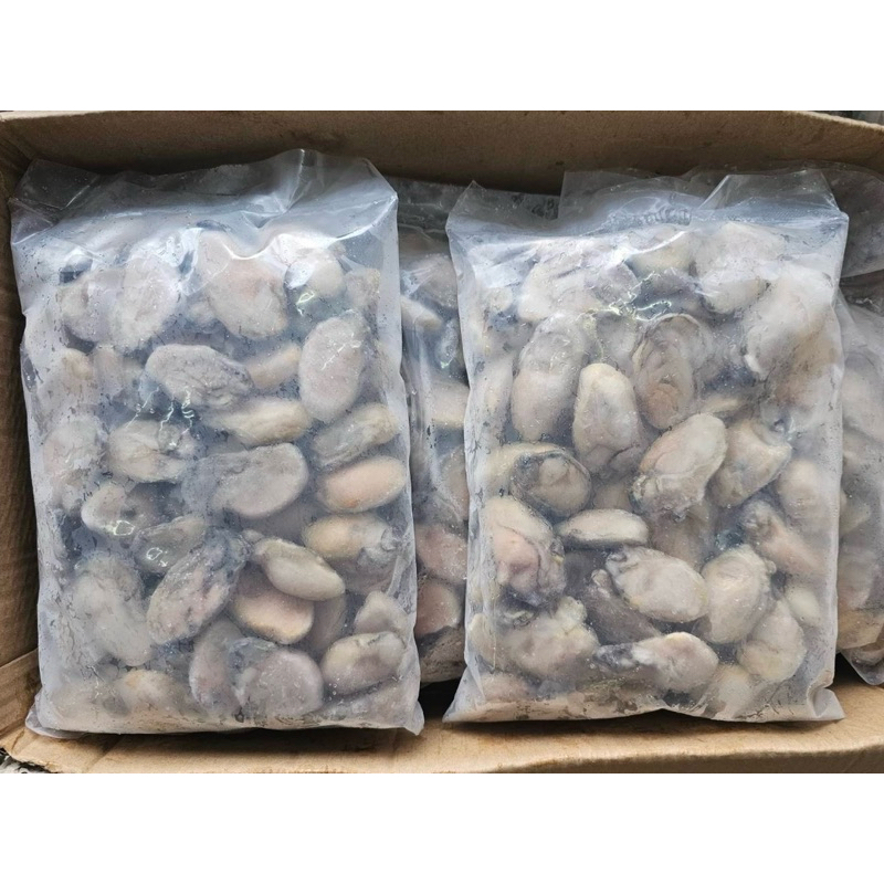 เนื้อหอยนางรมแช่แข็ง 1 กิโลกรัม | FROZEN OYSTER MEAT - รูปที่ 2