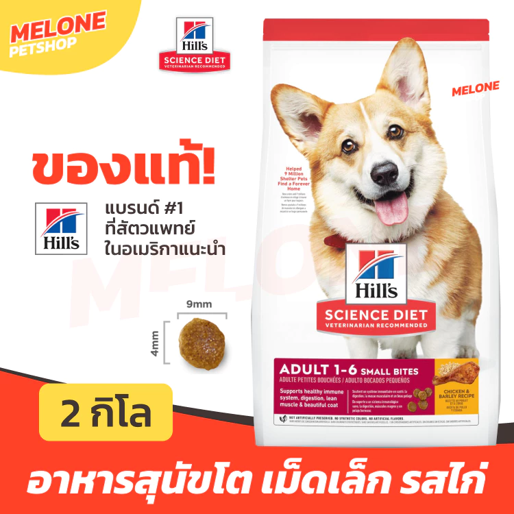 Hill's อาหารสุนัข ฮิลส์ สูตร Science Diet Adult Small Bites สุนัขโต 1-6 ปี เม็ดเล็ก ขนาด 2 กิโล